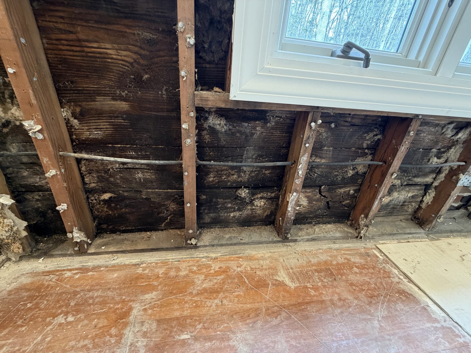 Bathroom wall opened to expose and treat mold-damaged studs