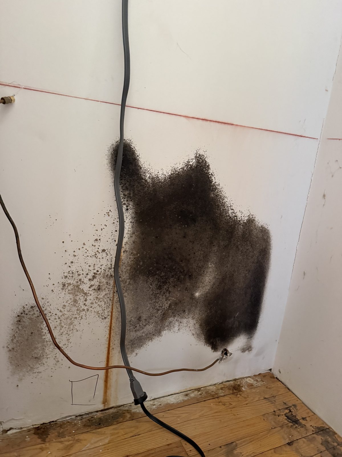 Heavy black mold growth on a drywall wall before remediation